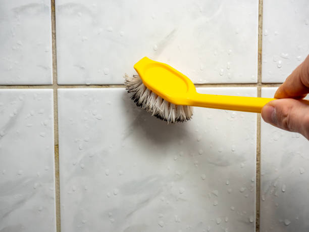 Best Mold Testing and Inspection Services in Princeton Junction, NJ