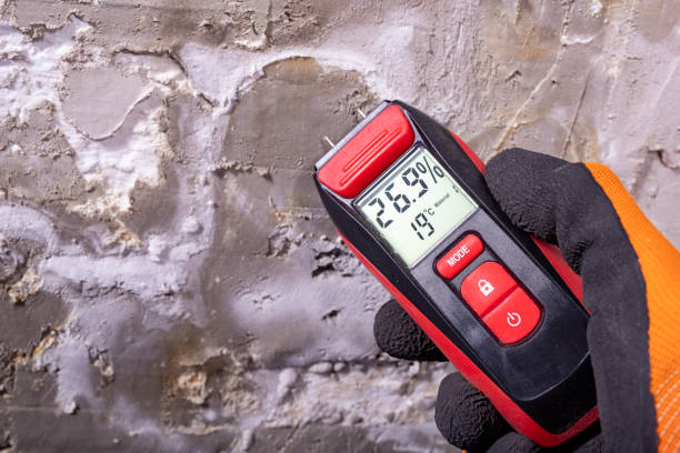 Best Post-Flood Mold Remediation in Princeton Junction, NJ